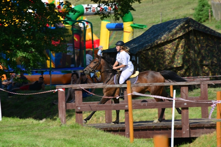 Konie opanowały Śliwice - ZDJĘCIA