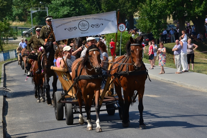 Konie opanowały Śliwice - ZDJĘCIA