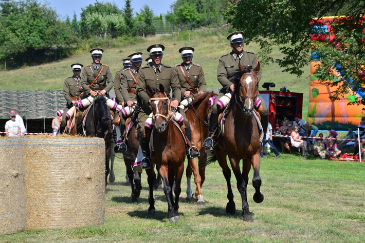 Konie opanowały Śliwice - ZDJĘCIA