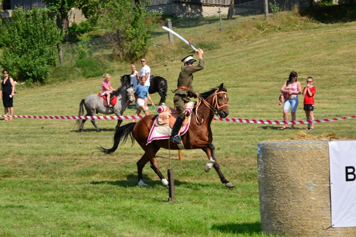 Konie opanowały Śliwice - ZDJĘCIA
