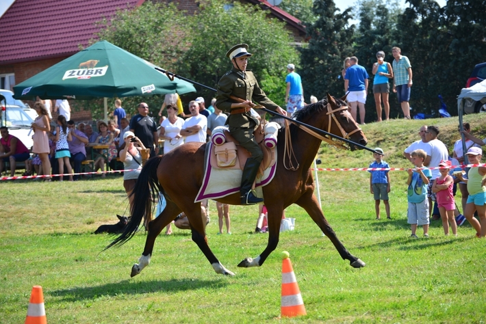 Konie opanowały Śliwice - ZDJĘCIA