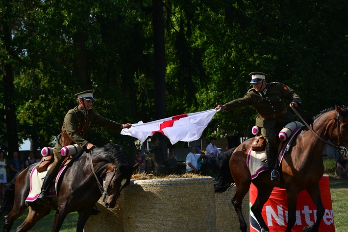 Konie opanowały Śliwice - ZDJĘCIA