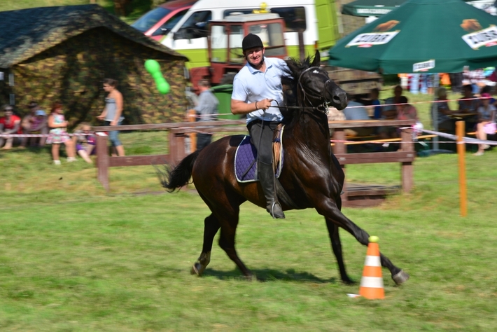 Konie opanowały Śliwice - ZDJĘCIA