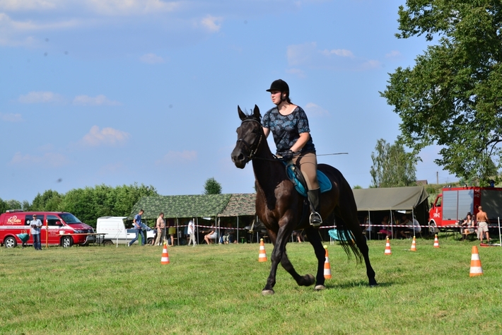 Konie opanowały Śliwice - ZDJĘCIA