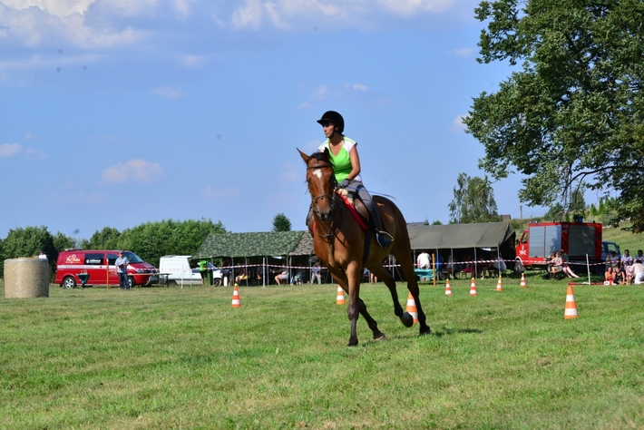 Konie opanowały Śliwice - ZDJĘCIA