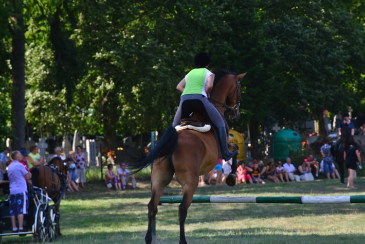 Konie opanowały Śliwice - ZDJĘCIA