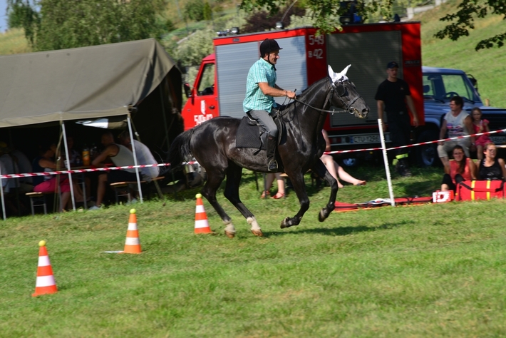 Konie opanowały Śliwice - ZDJĘCIA