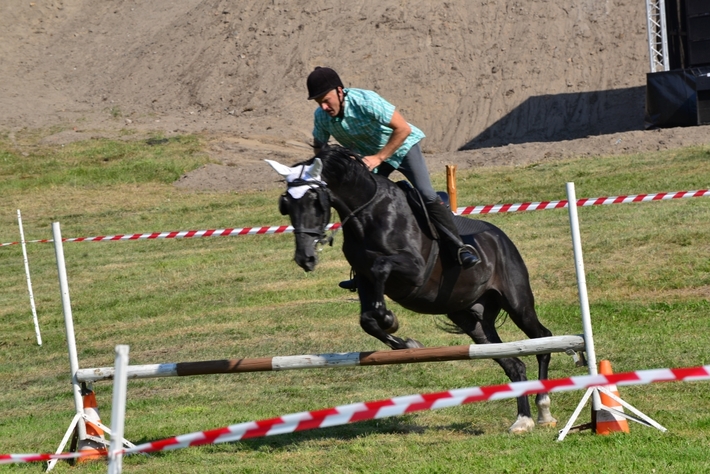 Konie opanowały Śliwice - ZDJĘCIA