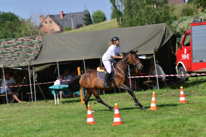 Konie opanowały Śliwice - ZDJĘCIA