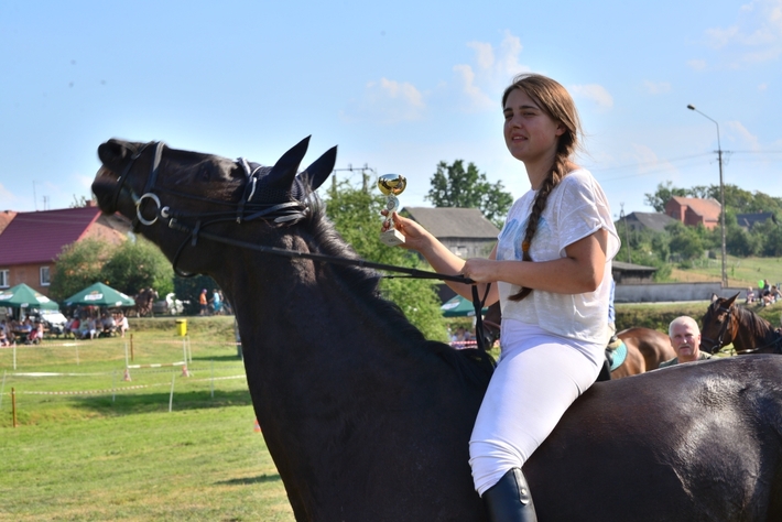 Konie opanowały Śliwice - ZDJĘCIA