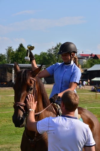 Konie opanowały Śliwice - ZDJĘCIA