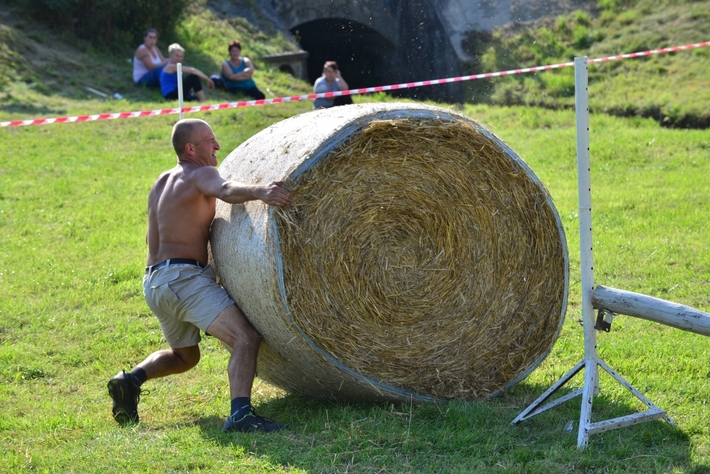 Konie opanowały Śliwice - ZDJĘCIA