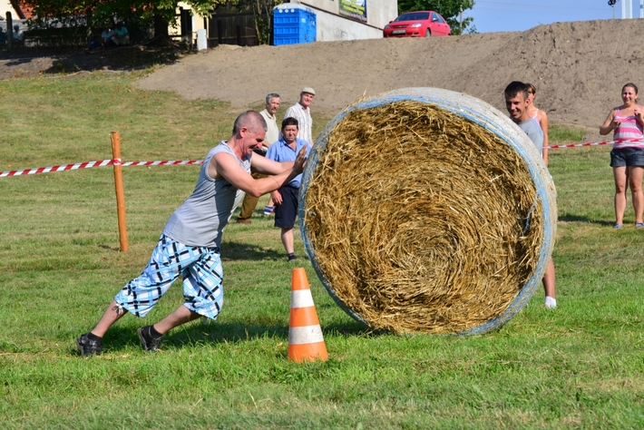 Konie opanowały Śliwice - ZDJĘCIA