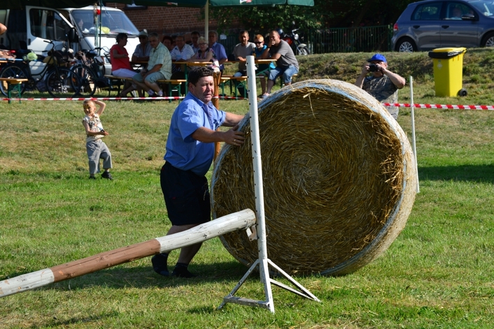 Konie opanowały Śliwice - ZDJĘCIA