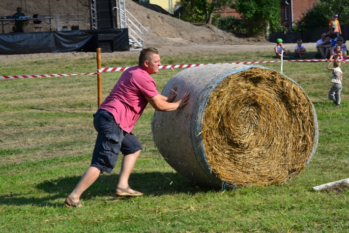 Konie opanowały Śliwice - ZDJĘCIA
