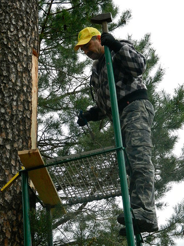 Jak zwabić rój? To tajemnica bartnika