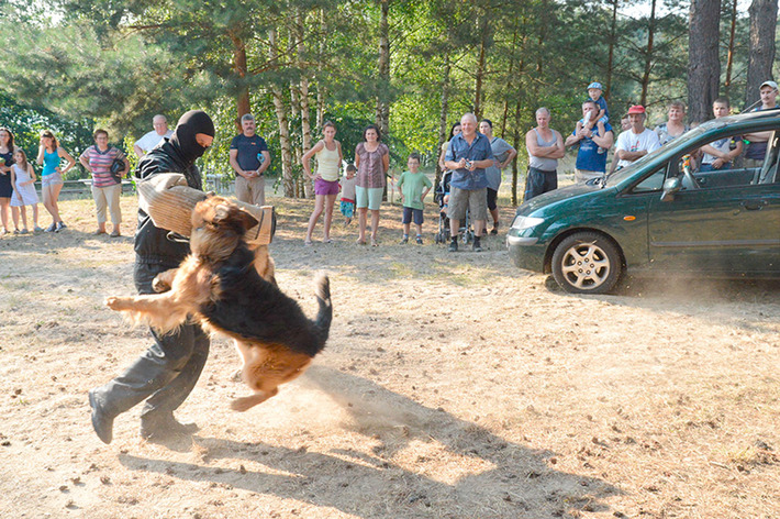 Od Reymonta do disco polo