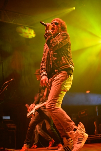 W Śliwicach same gwiazdy - ZDJĘCIA