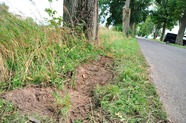 Rozstrzaskane auto za Gostycynem ZDJĘCIA