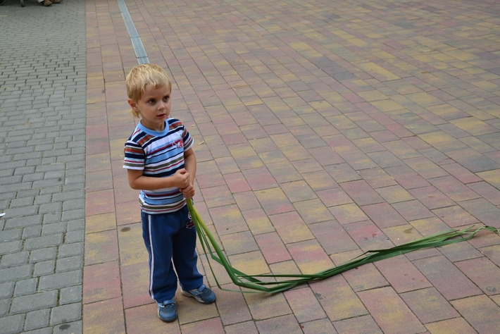 Barwne Święto Plonów - ZDJĘCIA, FILM