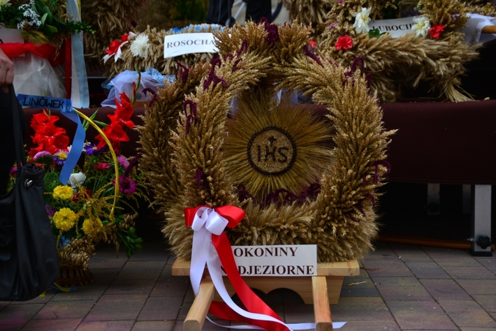 Barwne Święto Plonów - ZDJĘCIA, FILM