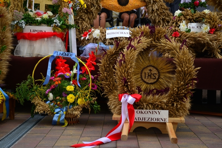 Barwne Święto Plonów - ZDJĘCIA, FILM