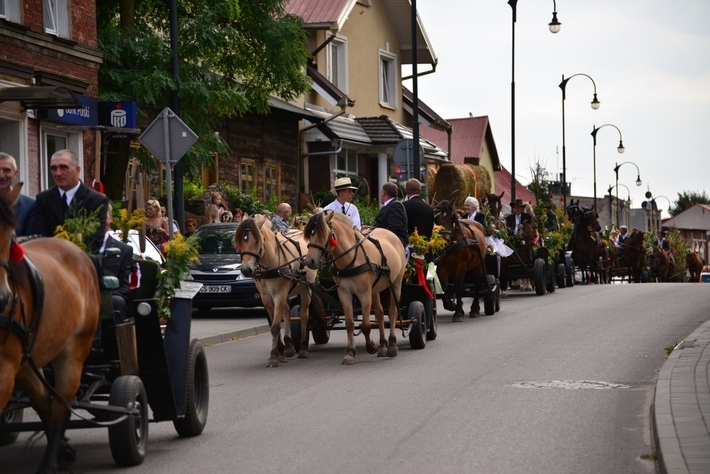 Barwne Święto Plonów - ZDJĘCIA, FILM