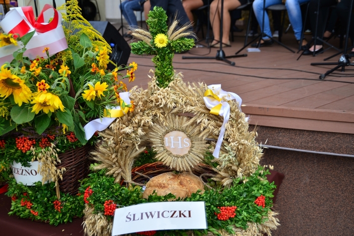 Barwne Święto Plonów - ZDJĘCIA, FILM