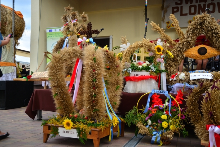Barwne Święto Plonów - ZDJĘCIA, FILM