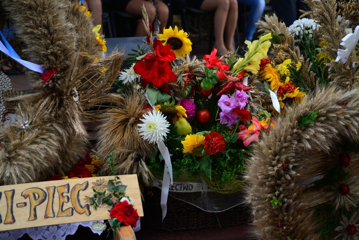 Barwne Święto Plonów - ZDJĘCIA, FILM