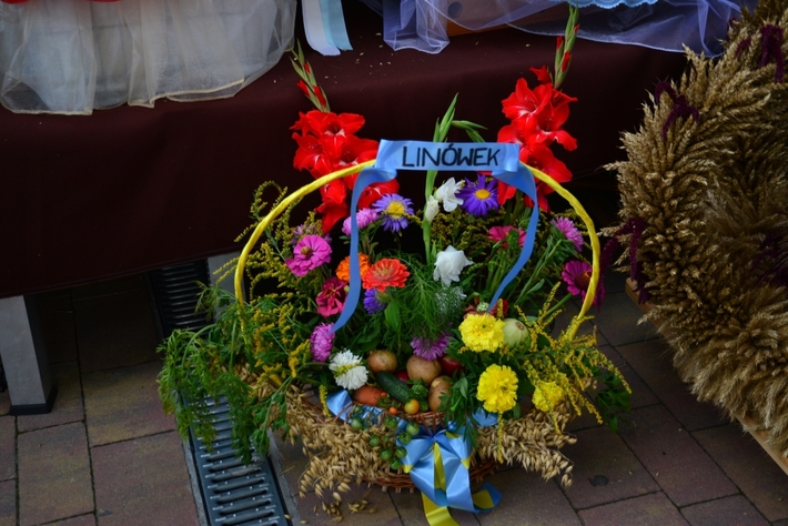 Barwne Święto Plonów - ZDJĘCIA, FILM