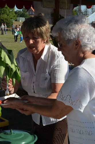 Był czas na podziękowanie, biesiadę i zabawę GALERIA