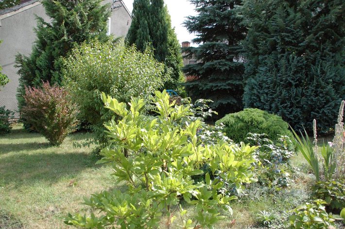 Potrafią zadbać o swoje posesje GALERIA