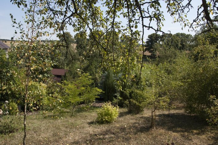 Potrafią zadbać o swoje posesje GALERIA