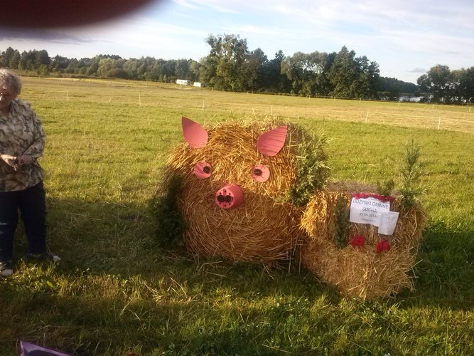 Potrafią zadbać o swoje posesje GALERIA