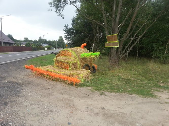 Potrafią zadbać o swoje posesje GALERIA