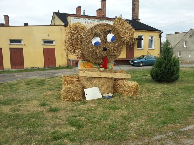 Potrafią zadbać o swoje posesje GALERIA