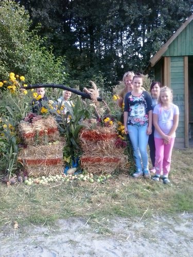 Potrafią zadbać o swoje posesje GALERIA