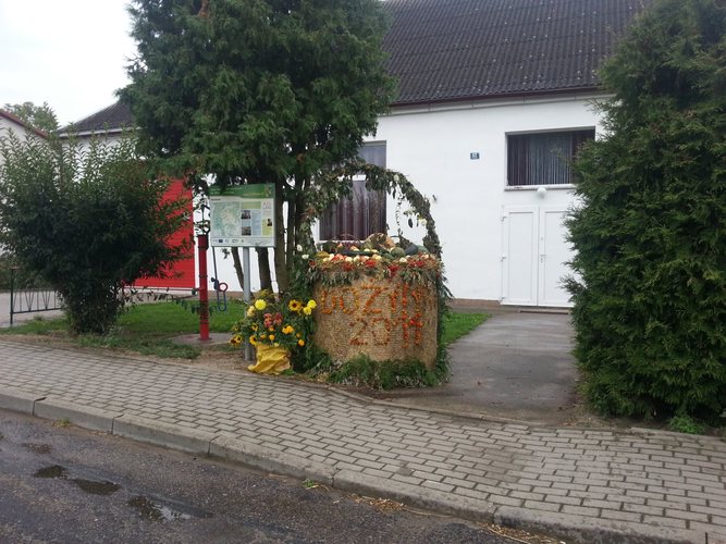 Potrafią zadbać o swoje posesje GALERIA