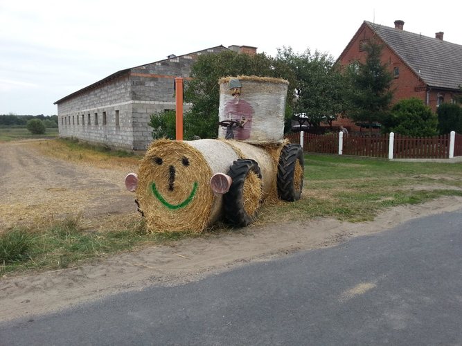 Potrafią zadbać o swoje posesje GALERIA
