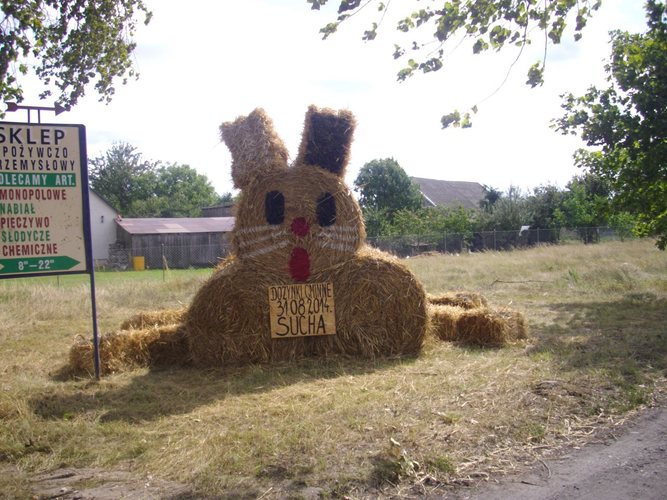 Potrafią zadbać o swoje posesje GALERIA