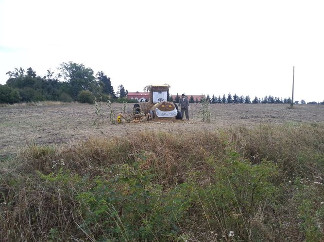 Potrafią zadbać o swoje posesje GALERIA