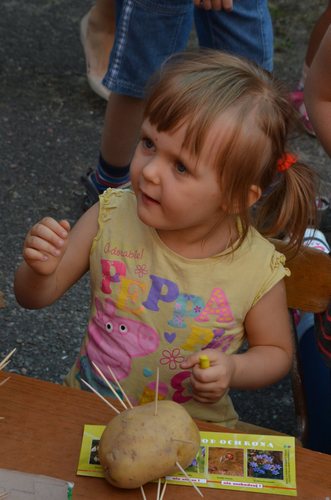 Przedszkolaki zaprosiły na pieczone ziemniaki  GALERIA