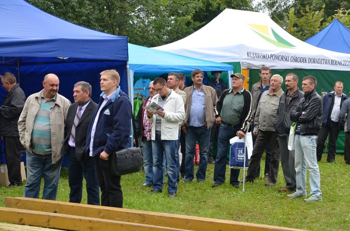 Nowe oblicze kukurydzy GALERIA