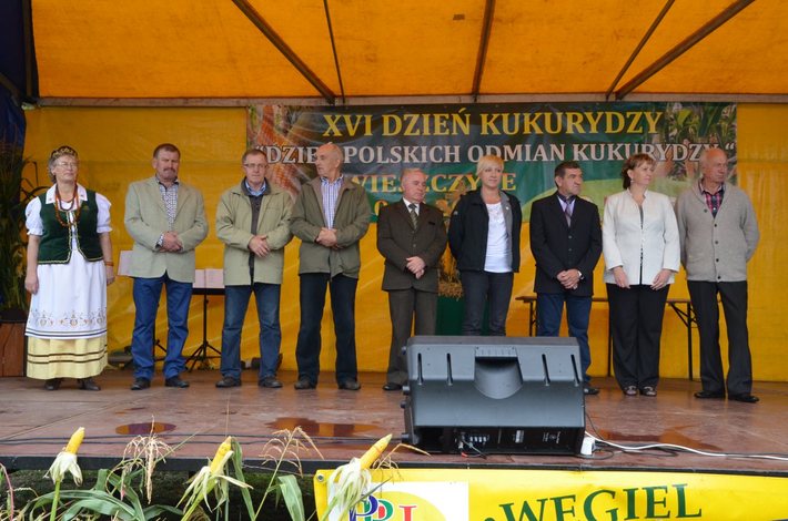 Nowe oblicze kukurydzy GALERIA