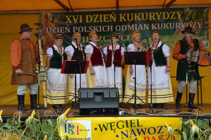 Nowe oblicze kukurydzy GALERIA