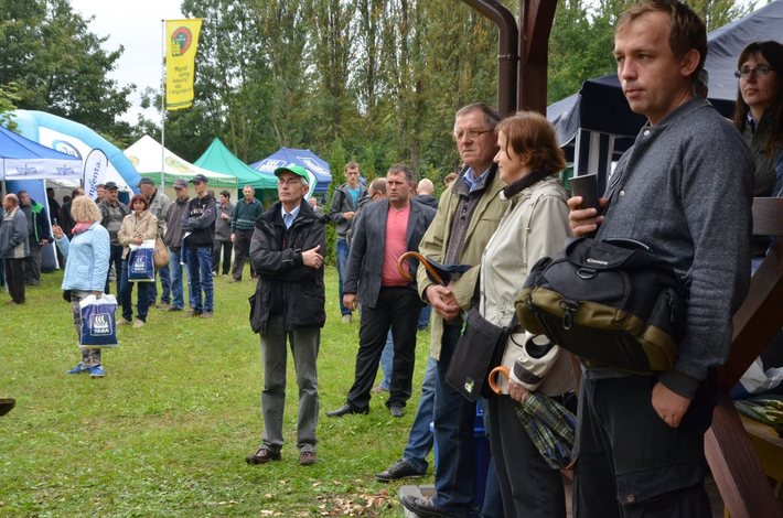 Nowe oblicze kukurydzy GALERIA