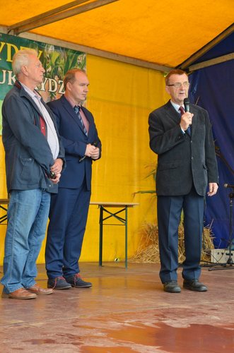 Nowe oblicze kukurydzy GALERIA