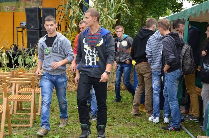 Nowe oblicze kukurydzy GALERIA