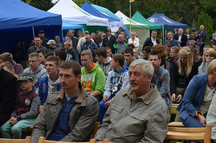 Nowe oblicze kukurydzy GALERIA